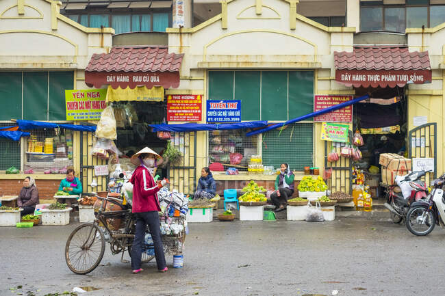 Mulher vietnamita no Mercado Dong Xuan, Distrito de Hoan Kiem, Bairro Antigo, Hanói, Vietnã — Fotografia de Stock