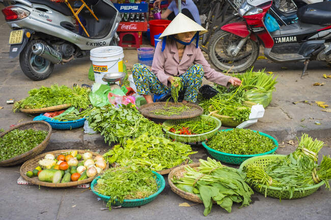 Mujer vendiendo hierbas y verduras en el mercado central en Hoi An, provincia de Quang Nam, Vietnam - foto de stock