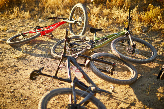 Tres bicicletas de montaña en la tierra. - foto de stock