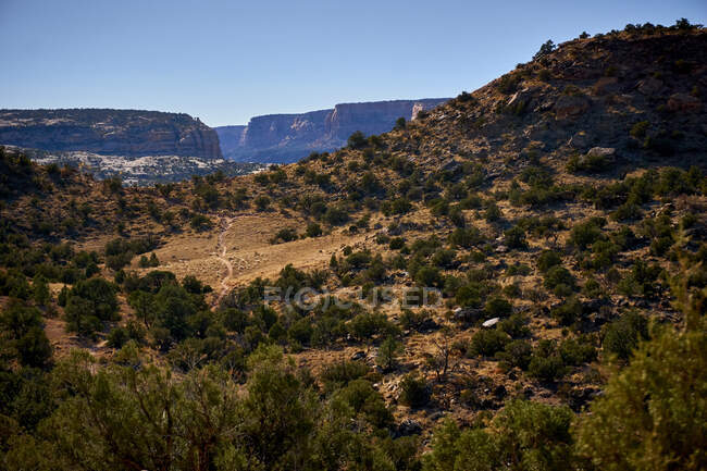 Uma vista de uma trilha única em Grand Junction, CO. — Fotografia de Stock