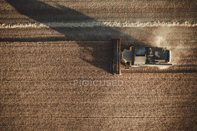 Field harvesting on the fields — Stock Photo
