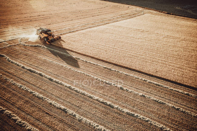 Field harvesting on the fields — Stock Photo