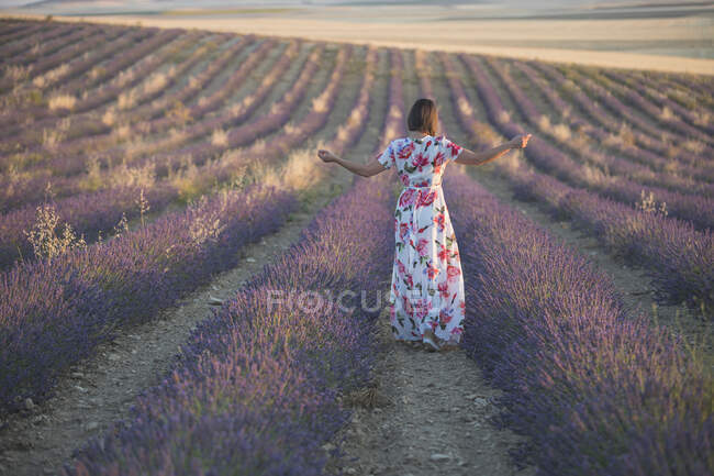 Frau beobachtet Lavendelfeld — Stockfoto