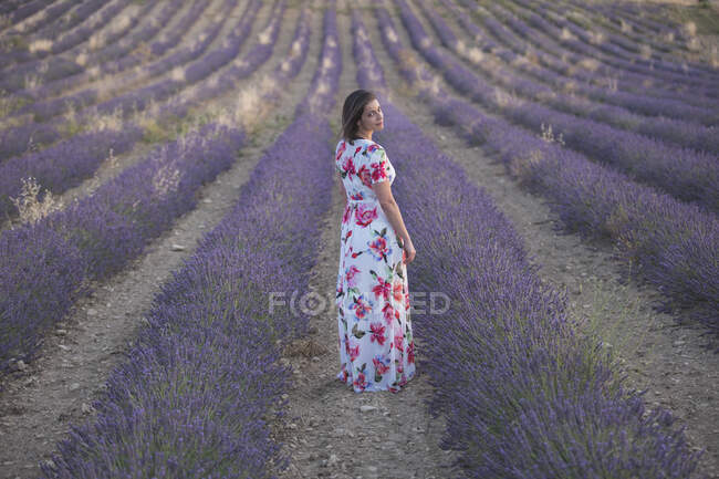 Femme observant le champ de lavande — Photo de stock