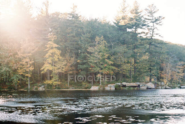 Fotografía en color de un estanque en otoño en Nueva Inglaterra. - foto de stock