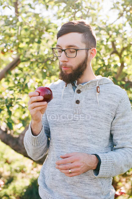 Filmfoto eines Mannes, der in einem Obstgarten in einen Apfel beißt. — Stockfoto