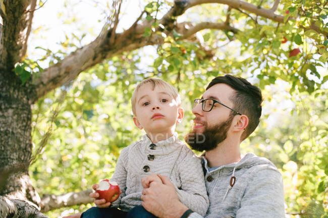 Батько і син у яблучному саду . — стокове фото