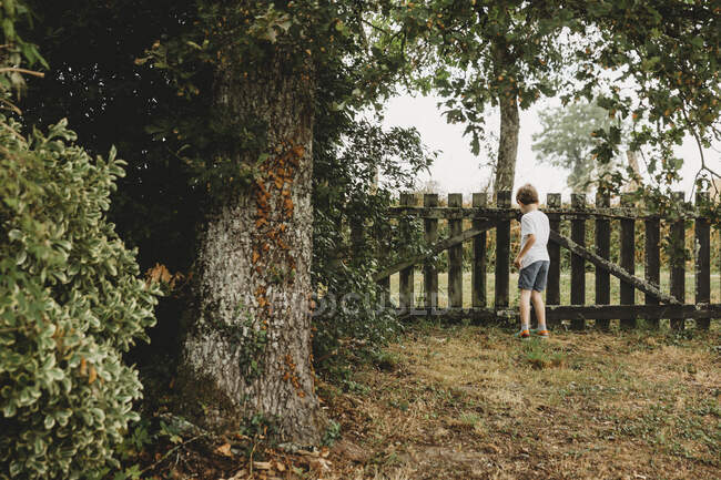 Rückansicht eines Jungen am Gartentor — Stockfoto