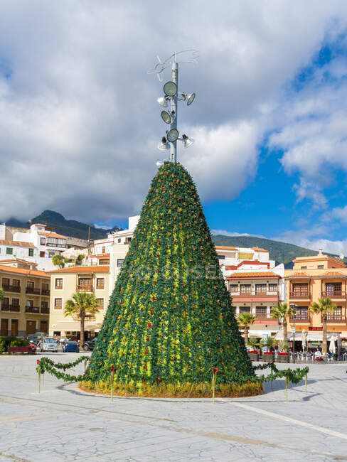 Albero di Natale in Plaza de la Patrona de Canarias presso la Basilica — Foto stock