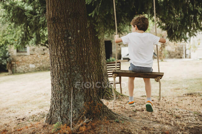 Вид сзади на мальчика на качелях под деревьями — стоковое фото