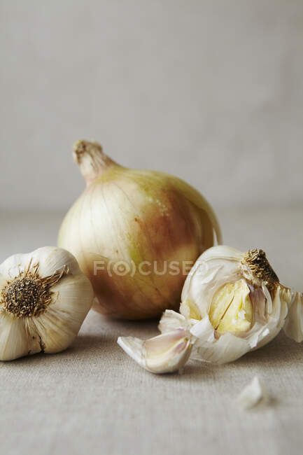 Natura morta di aglio e cipolle Close Up — Foto stock