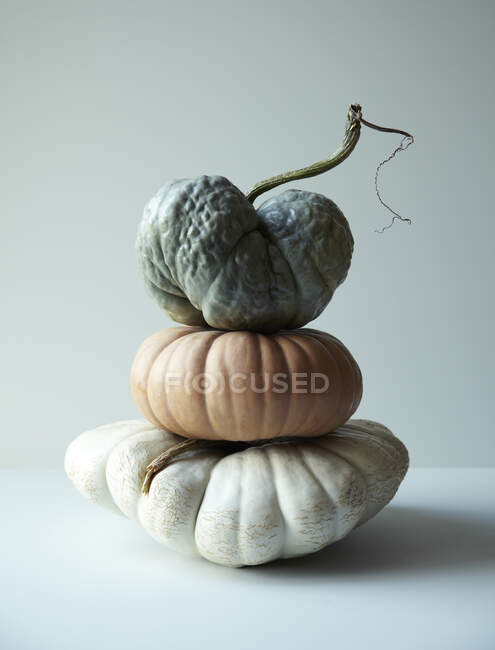 Stack of Pumpkin and Gourds — Stock Photo