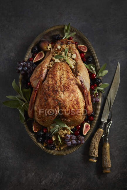 Turkey on Platter for Thanksgiving with Dressing — Stock Photo