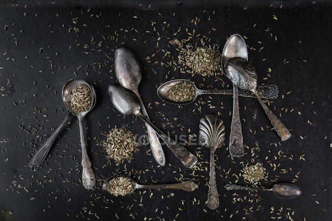 Вінтажні ложки в довільному порядку з розкиданими насінням фенхелю — стокове фото