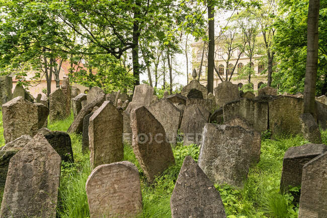 Pierres tombales historiques du cimetière juif à Prague — Photo de stock