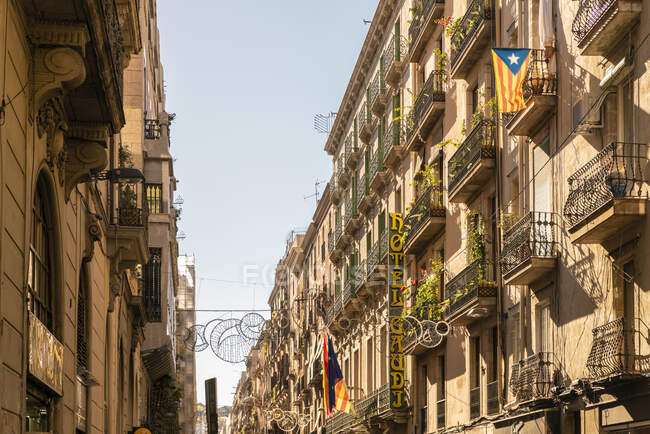 Calle Carrer de Ferran en barrio gótico en barcelona en verano - foto de stock