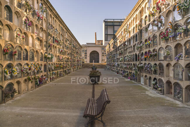 Pasaje en el histórico Cementerio de Poblenou en Barcelona en verano - foto de stock
