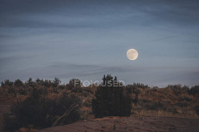 Beautiful night view of the mountains on nature background - foto de stock