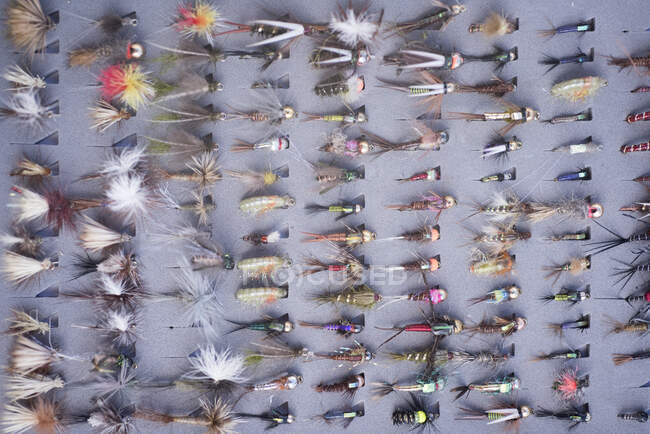 Foto de cerca de moscas en la caja de la mosca de un pescador. - foto de stock