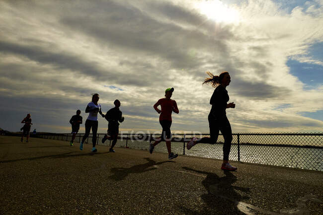 A group of silhouetted runners near Boston Harbor. — Stock Photo
