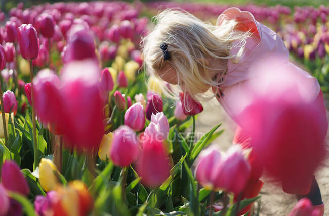 Little girl smelling the pink tulips flowers. — Stock Photo