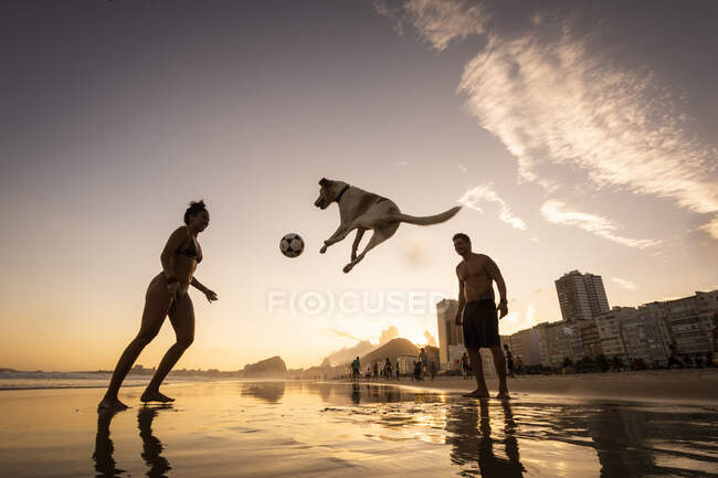 Pareja jugando al fútbol con perro en el paseo marítimo en la playa de Copacabana - foto de stock