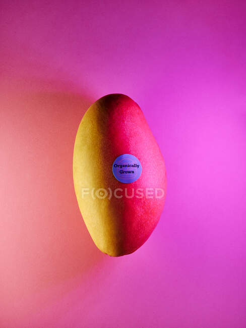 Pink mango on colorful  background, close up — Foto stock