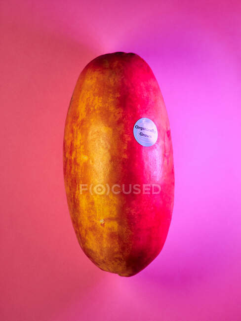 Organic Papaya Fruit On Purple Neon Background — Stock Photo