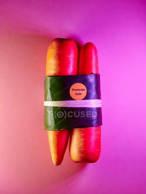 Пестицид безпечна морква на пурпуровому неоновому тлі — стокове фото