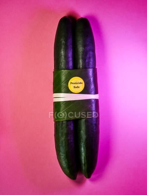 Pesticide Safe Cucumbers On Purple Neon Background — Stock Photo