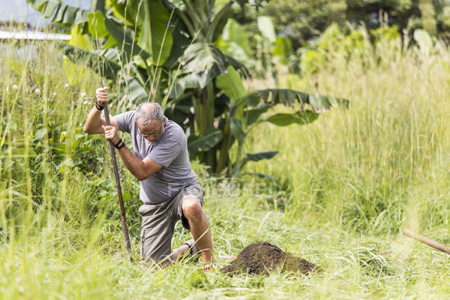 Пожилой человек копает яму на открытом воздухе — стоковое фото