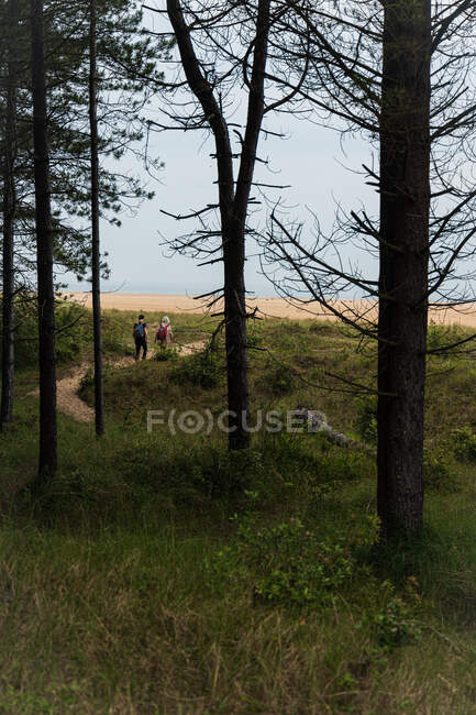 2 personas siguiendo un sendero forestal que conduce a la costa de Norfolk - foto de stock