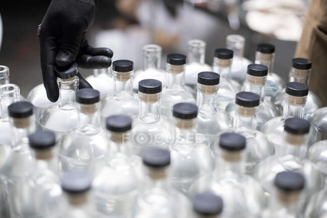 Schnapsflaschen werden in einer Brennerei verschlossen. — Stockfoto