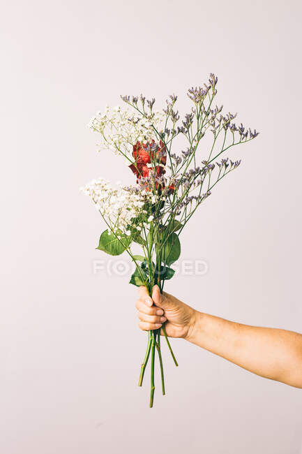 Mujer sosteniendo un ramo de flores sobre un fondo blanco - foto de stock