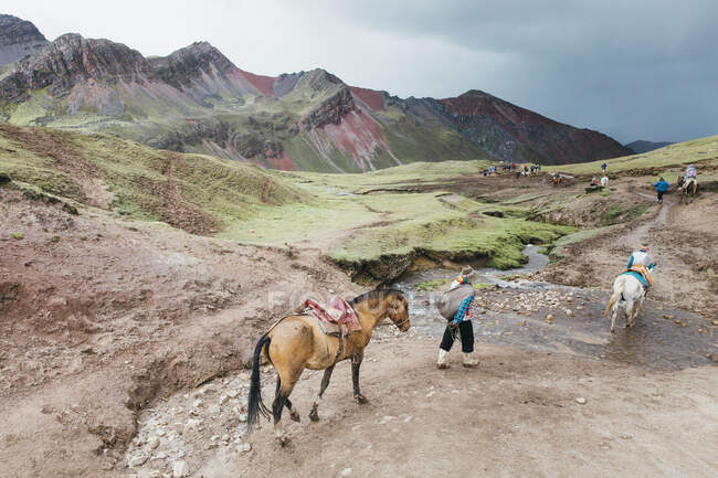 Guias locais com cavalos estão descendo para o vale, Peru — Fotografia de Stock