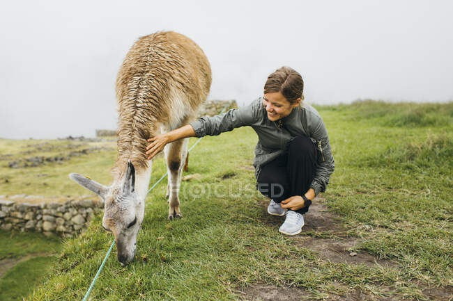 Una giovane donna è seduta vicino ad un lama, Machu Picchu, Perù — Foto stock