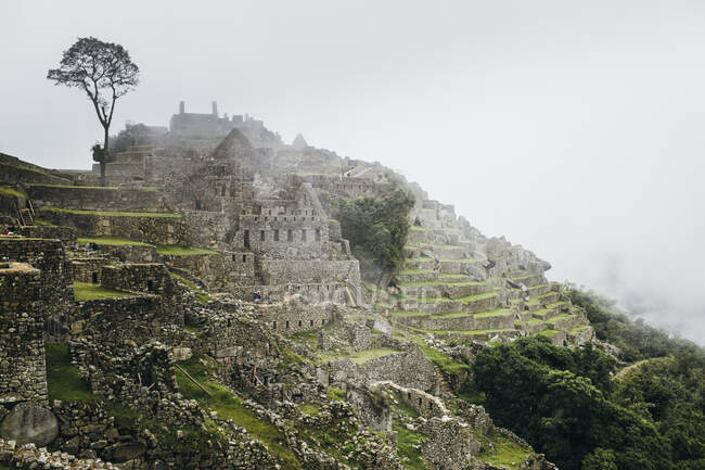 Die berühmten Ruinen der verlorenen Stadt Machu Picchu, Peru — Stockfoto