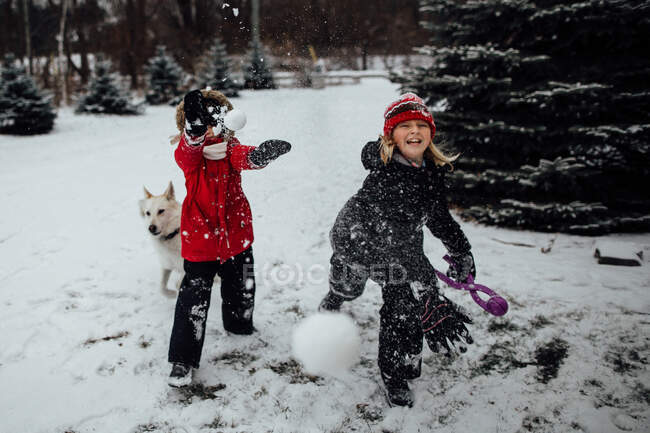 Crianças jogando bolas de neve na câmera com o cão — Fotografia de Stock