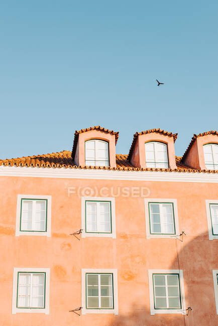 Pinkfarbenes Gebäude in Lissabon und eine Schwalbe am Himmel — Stockfoto