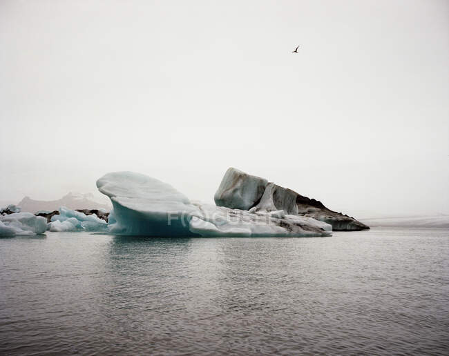 Ледниковая лагуна Йокульсарлон в сумерках — стоковое фото