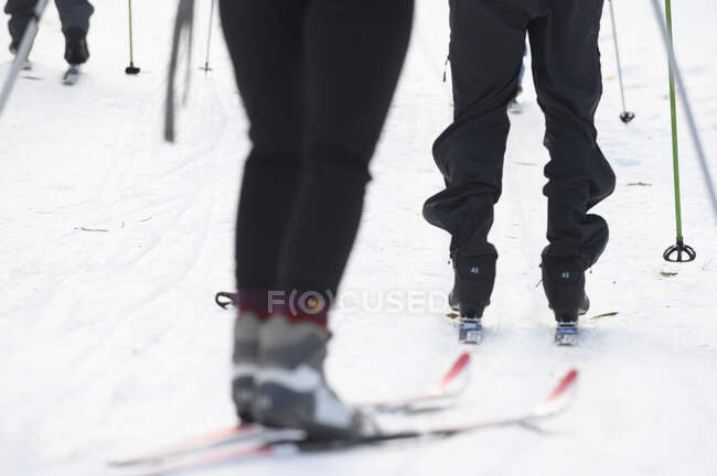 Três esquiadores que vão esquiar num centro nórdico — Fotografia de Stock