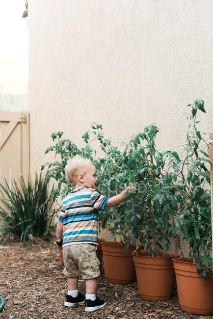 Portrait of adorable little boy growing plants at home — Stock Photo
