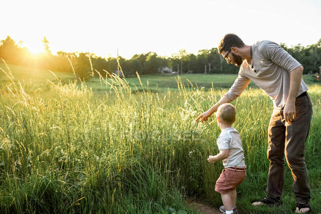 Padre milenario y su hijo explorando un prado durante la puesta del sol. - foto de stock