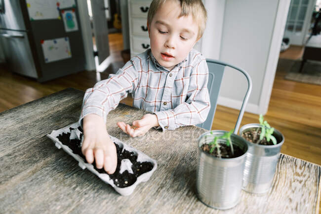 Fünfjähriger Junge beginnt Setzlinge zu pflanzen — Stockfoto