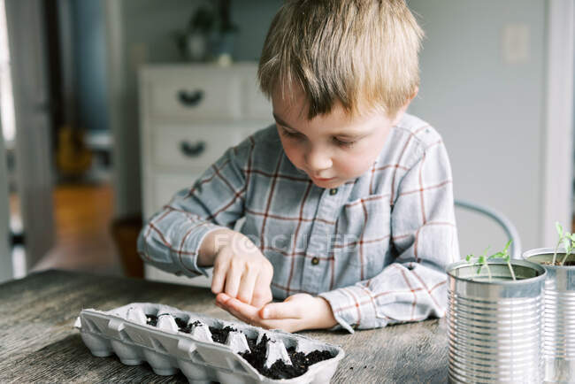 П'ятирічний хлопчик починає саджати розсаду — стокове фото