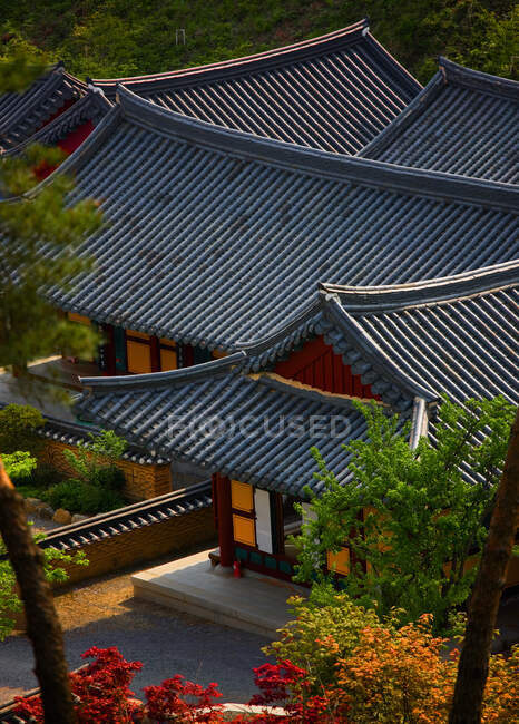 Rooftops of buddhist temple in South Korea — Stock Photo