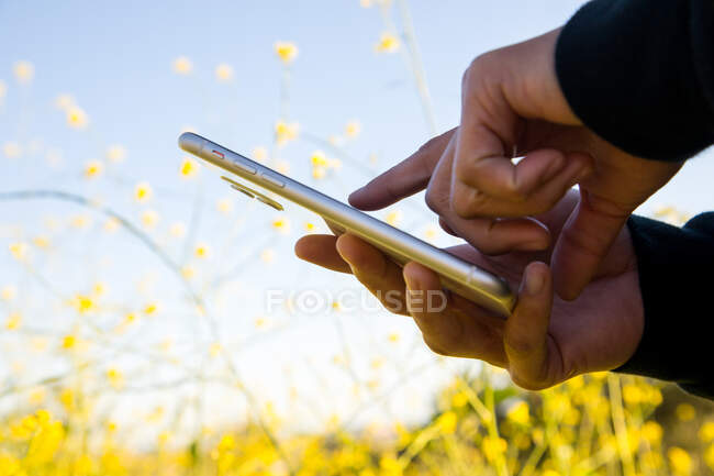 Mani della donna tenendo e utilizzando il telefono cellulare all'aperto in campo floreale — Foto stock