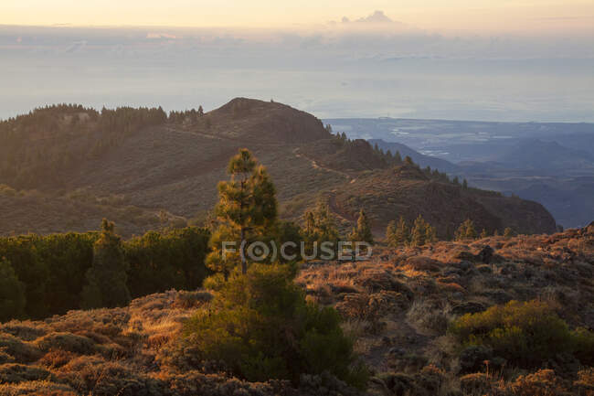 Paisagem de Pico Las Nieves, Gran Canaria — Fotografia de Stock