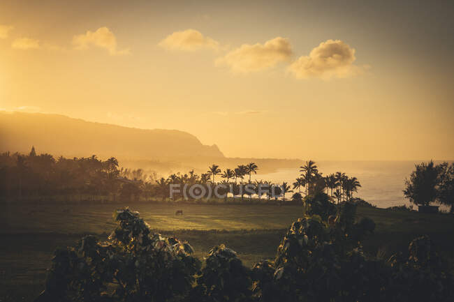 Belo pôr do sol havaiano em Kauai — Fotografia de Stock