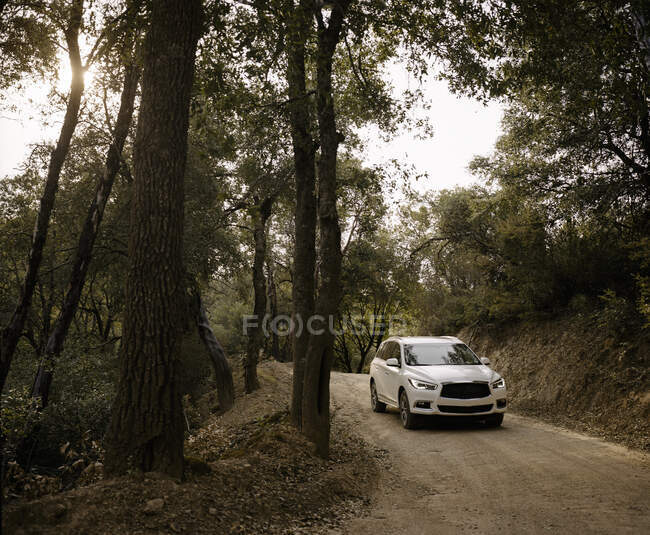Voiture traversant la forêt, Californie, États-Unis — Photo de stock